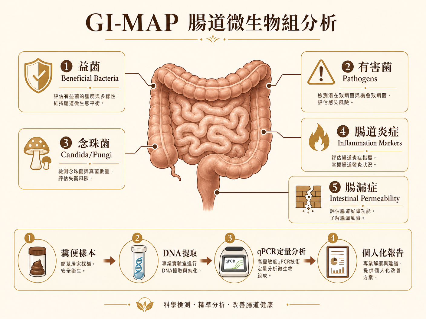 GI-MAP 腸道微生物組分析圖解